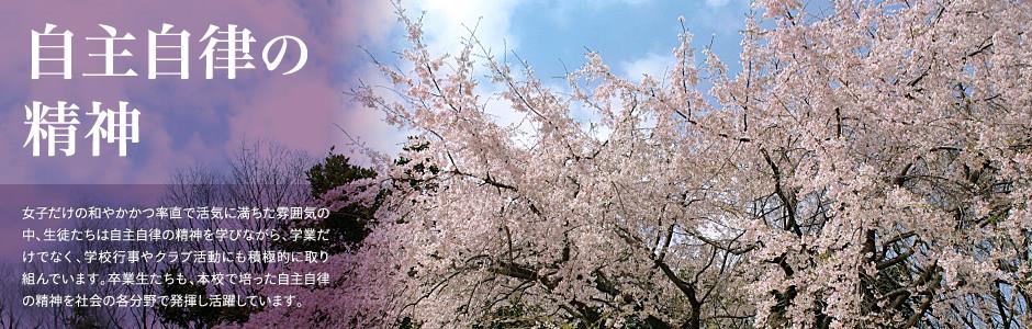 九五之尊游戏官网全站登录